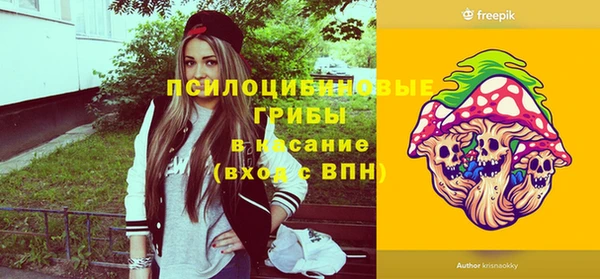 стаф Алзамай