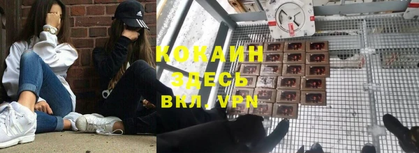 метадон Алексин