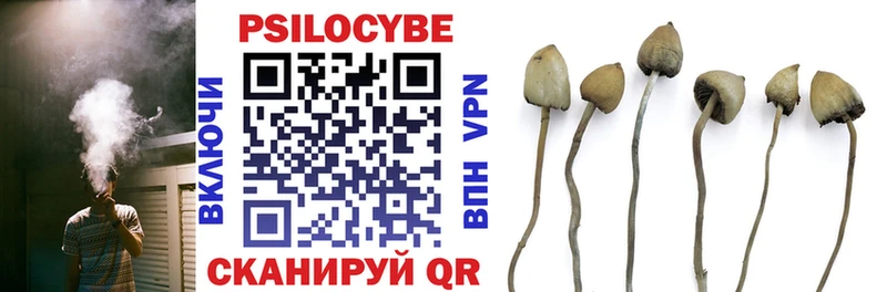 Галлюциногенные грибы Psilocybine cubensis Алупка